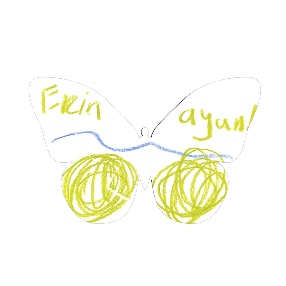 Original Butterfly Image