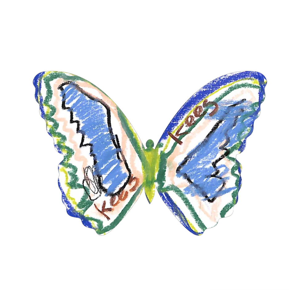 Original Butterfly Image