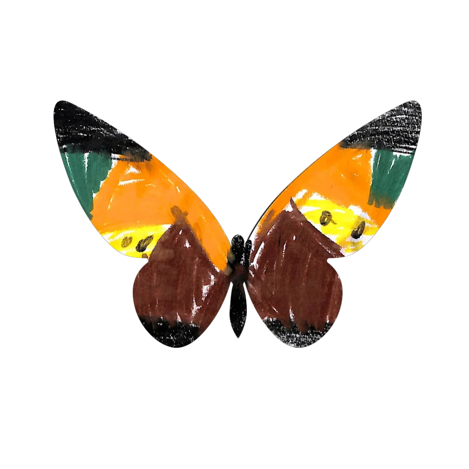 Original Butterfly Image