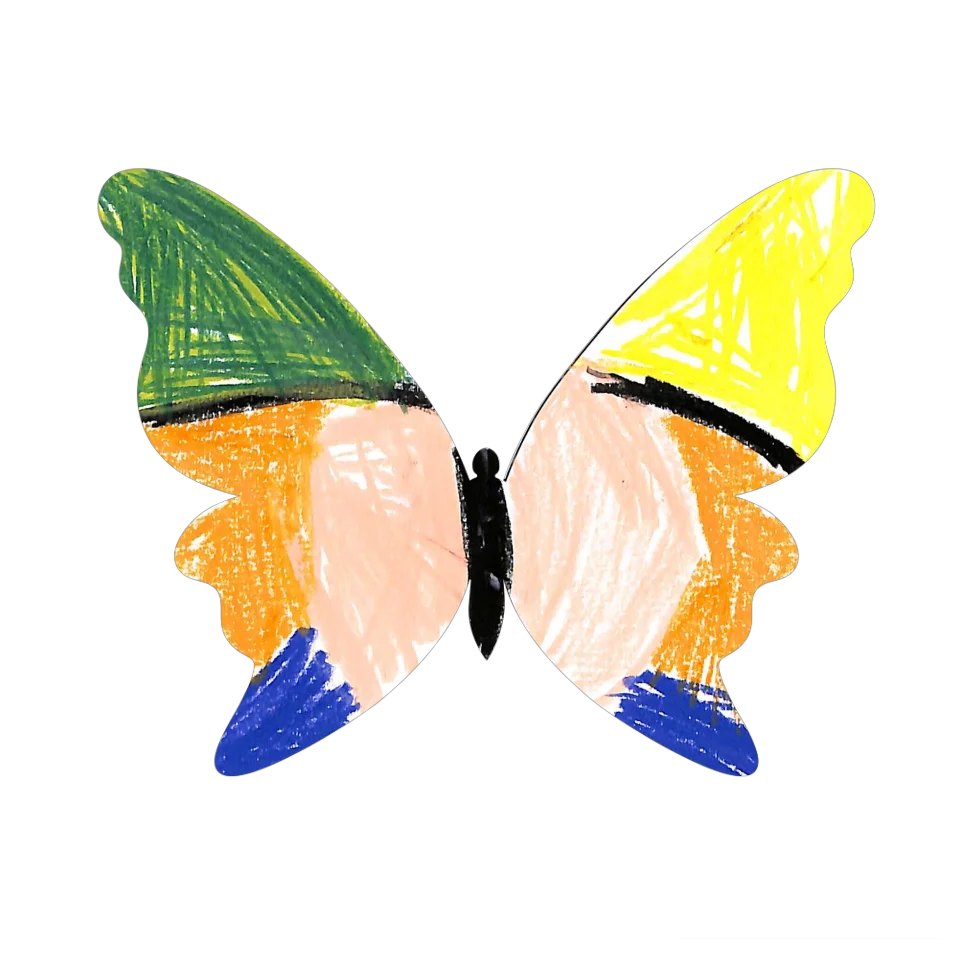 Original Butterfly Image