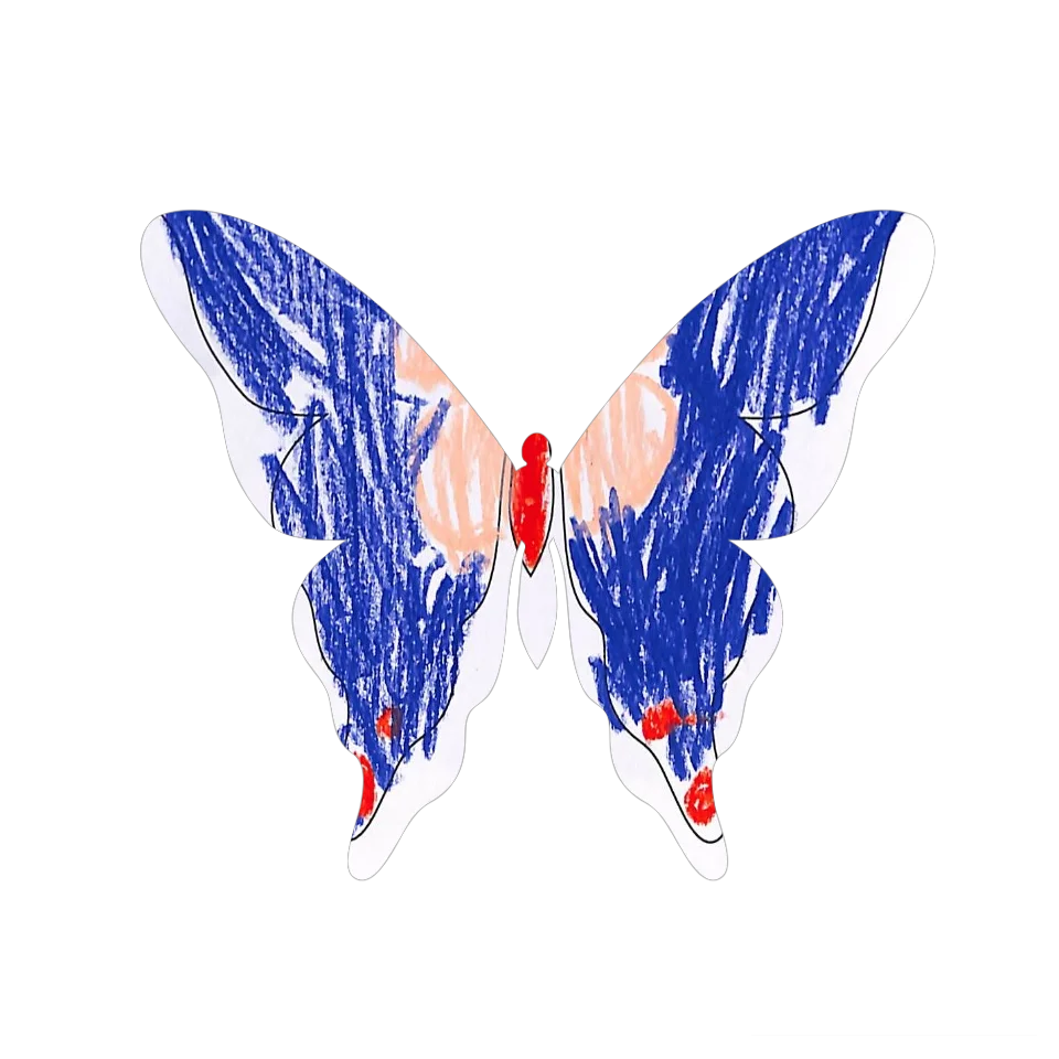 Original Butterfly Image