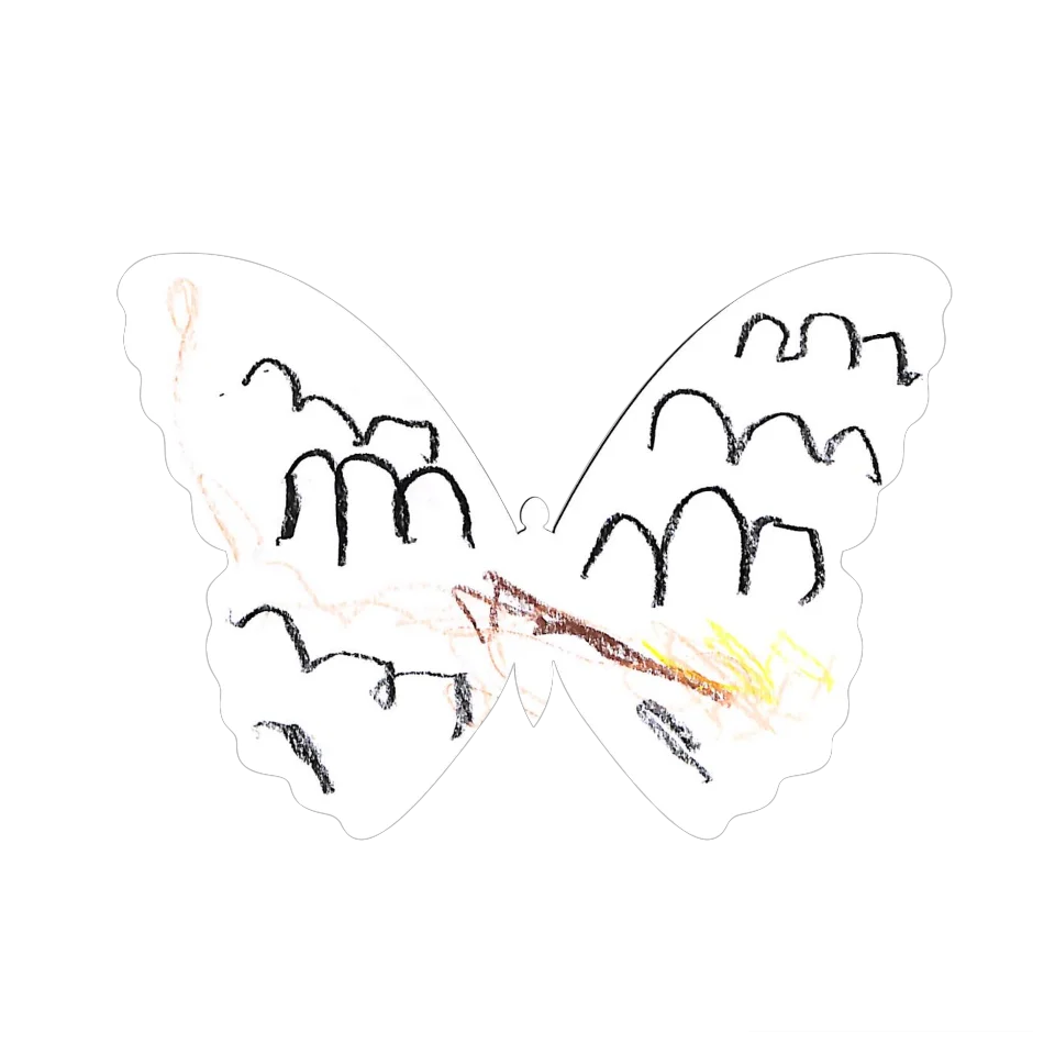 Original Butterfly Image