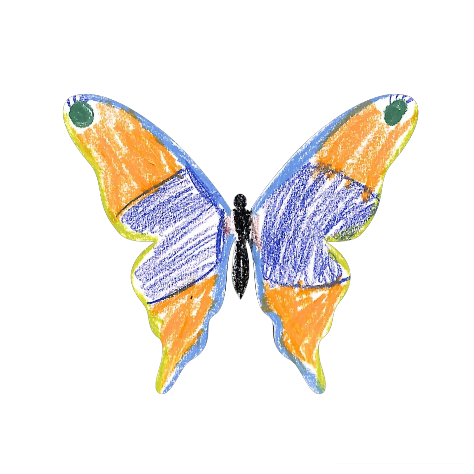 Original Butterfly Image