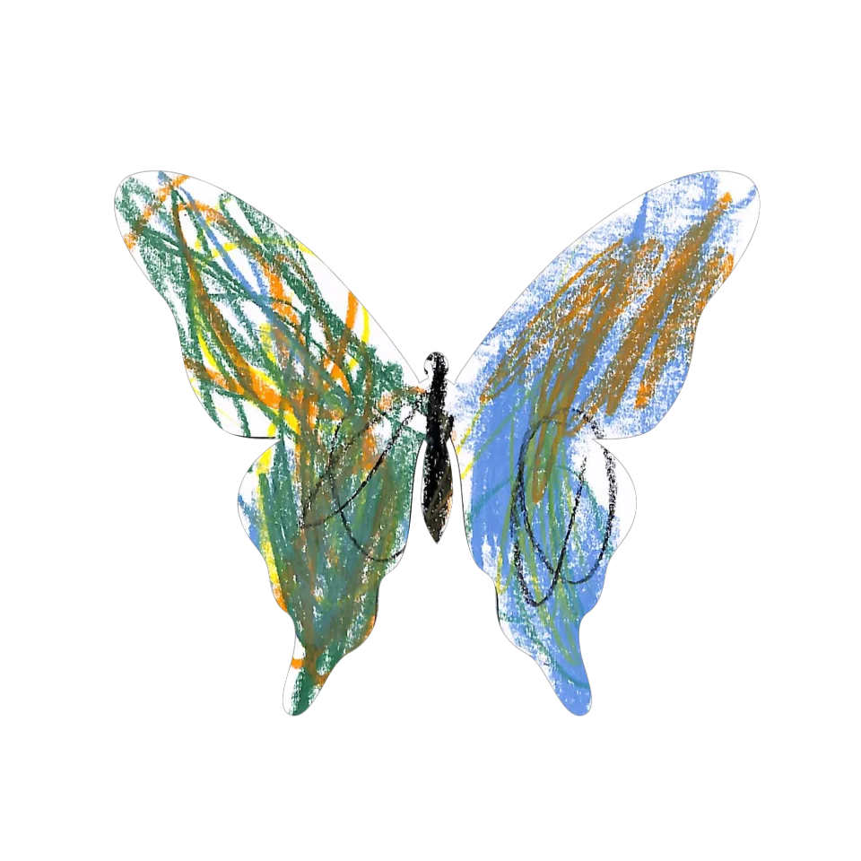 Original Butterfly Image