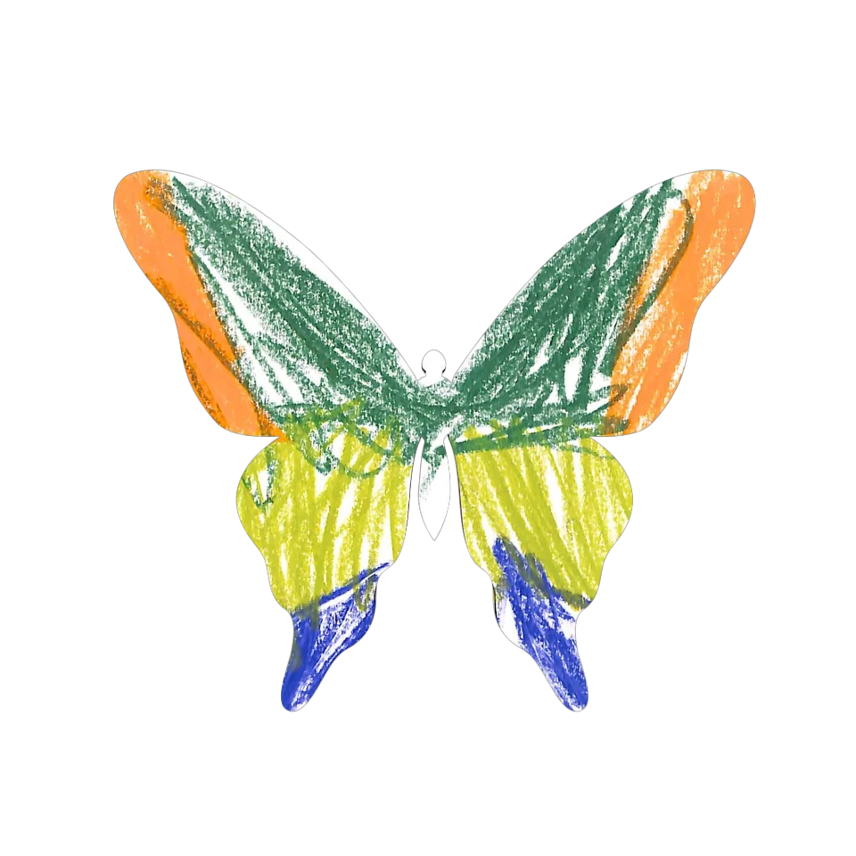 Original Butterfly Image