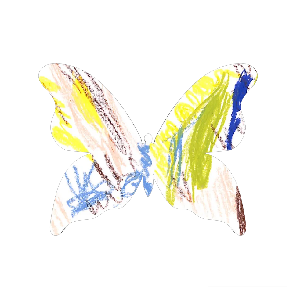 Original Butterfly Image