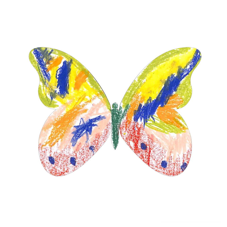 Original Butterfly Image
