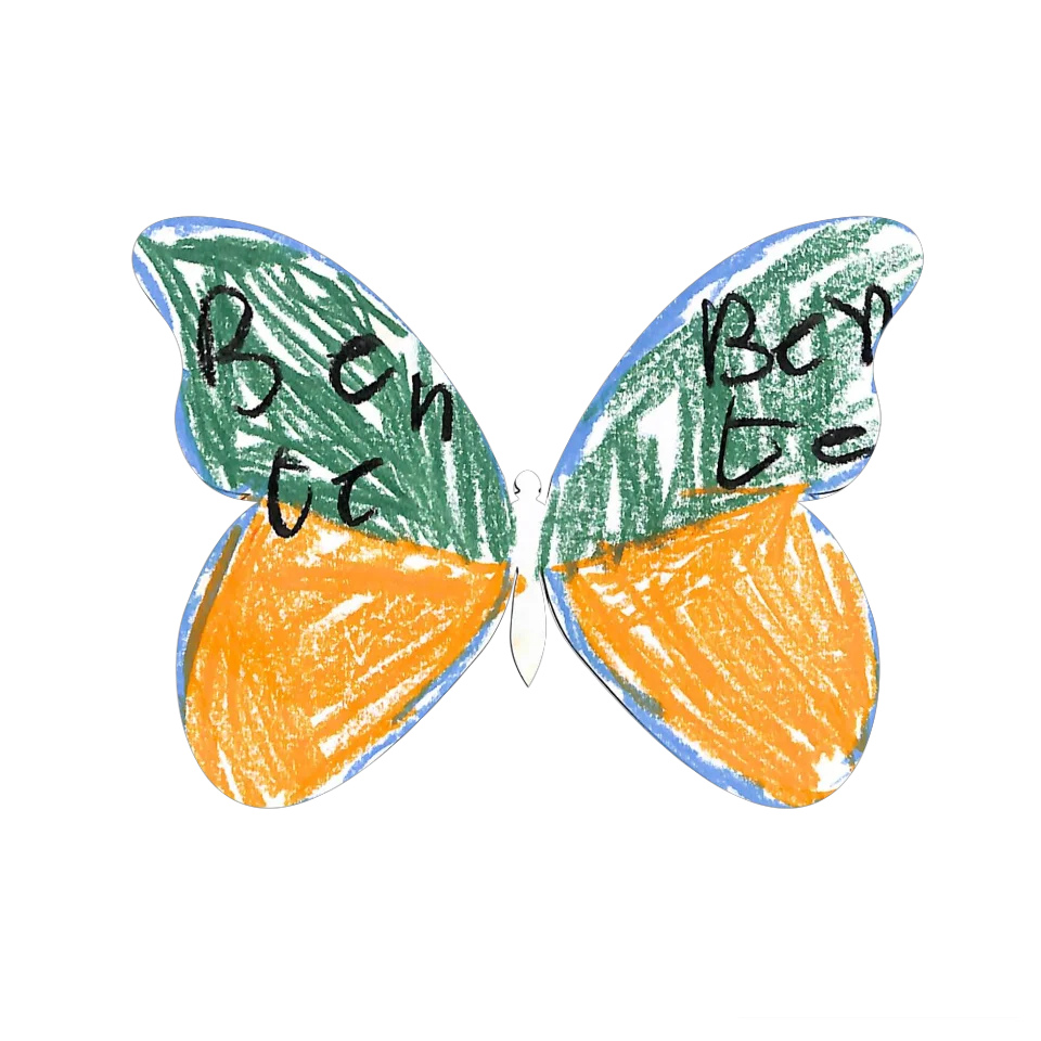 Original Butterfly Image