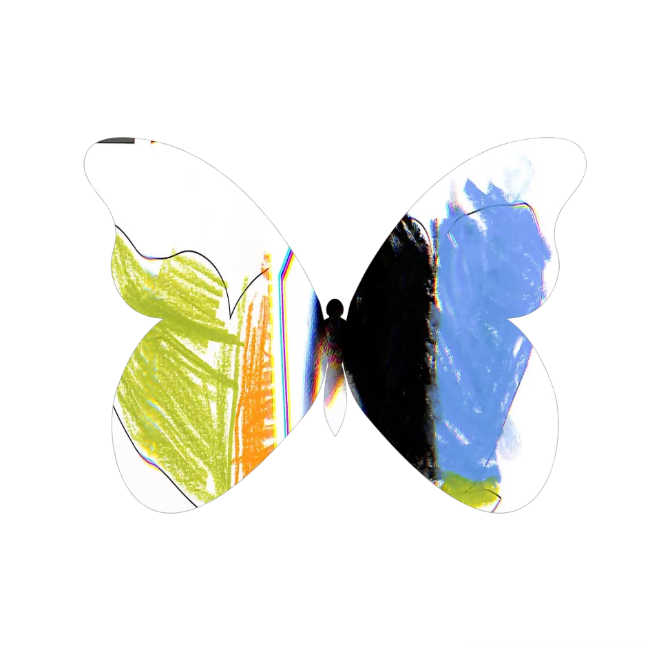 Original Butterfly Image