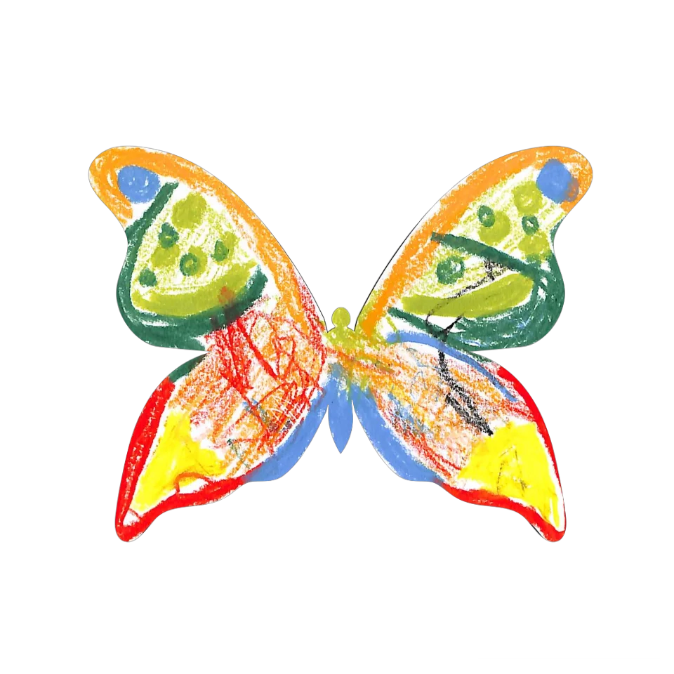 Original Butterfly Image