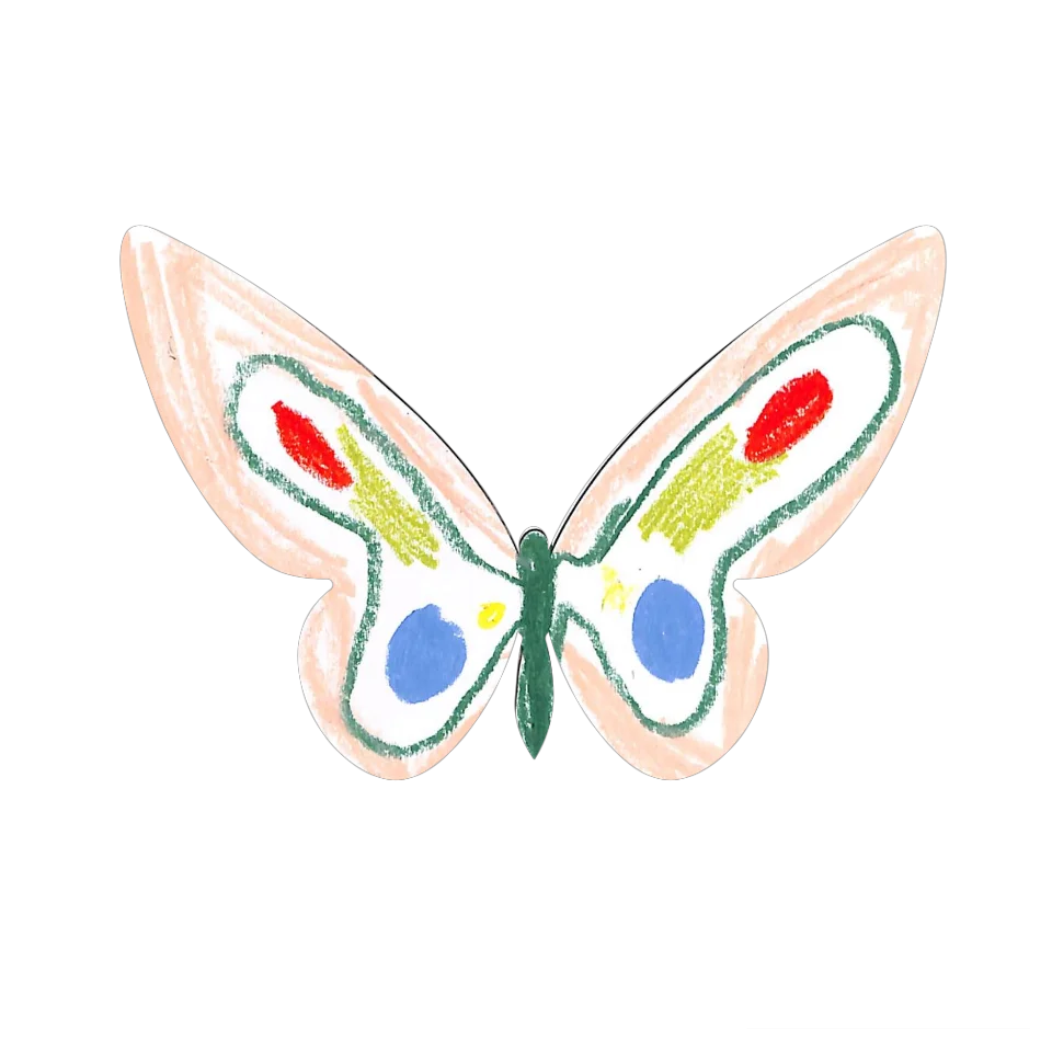 Original Butterfly Image