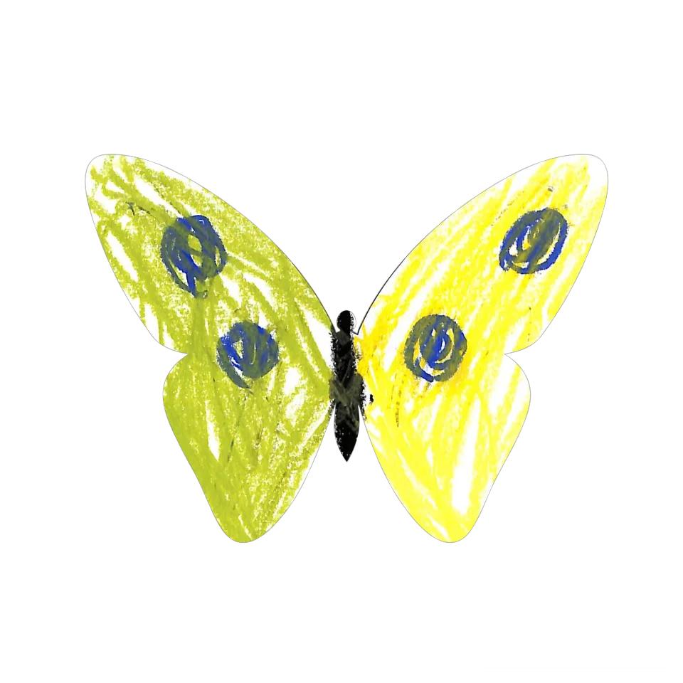 Original Butterfly Image