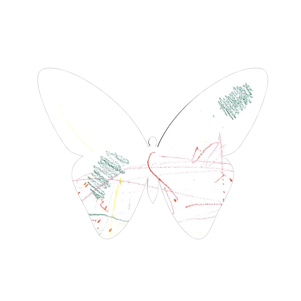 Original Butterfly Image
