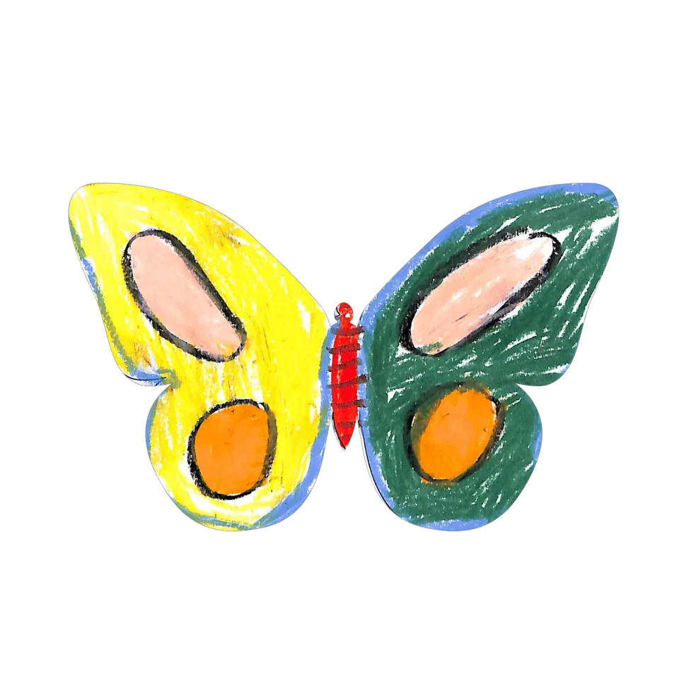 Original Butterfly Image