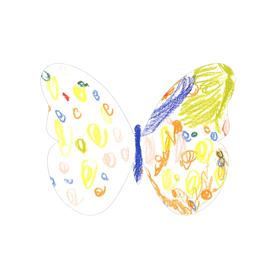 Original Butterfly Image