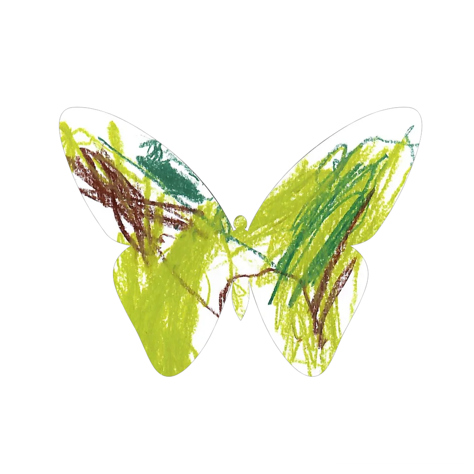 Original Butterfly Image