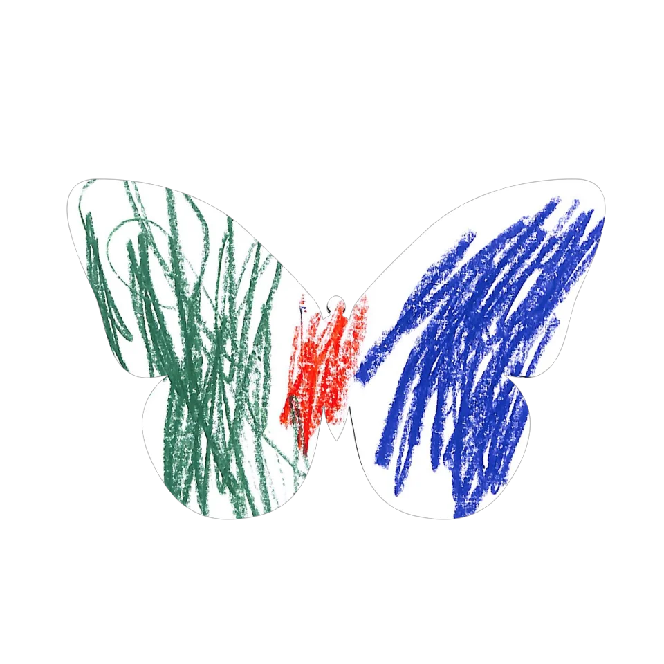 Original Butterfly Image