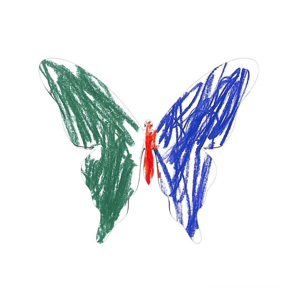 Original Butterfly Image