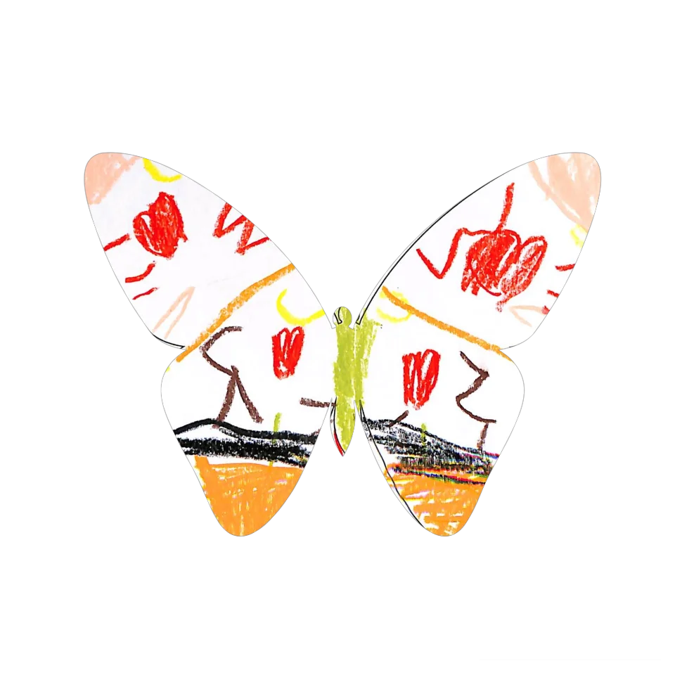 Original Butterfly Image
