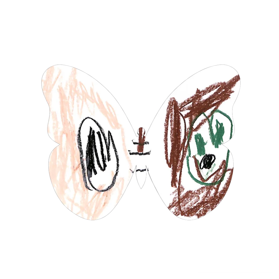 Original Butterfly Image