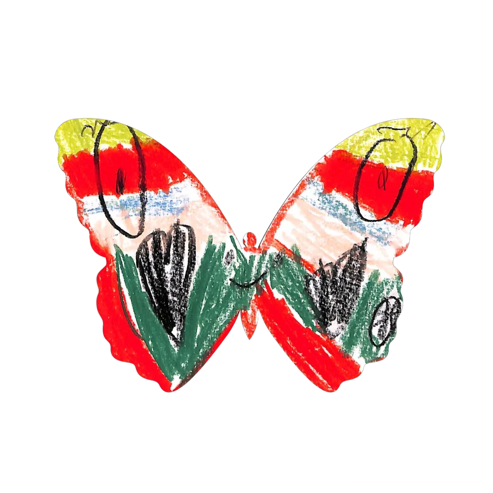 Original Butterfly Image