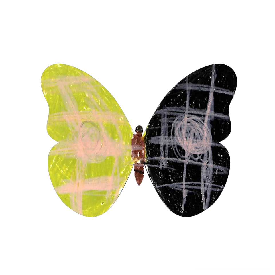 Original Butterfly Image