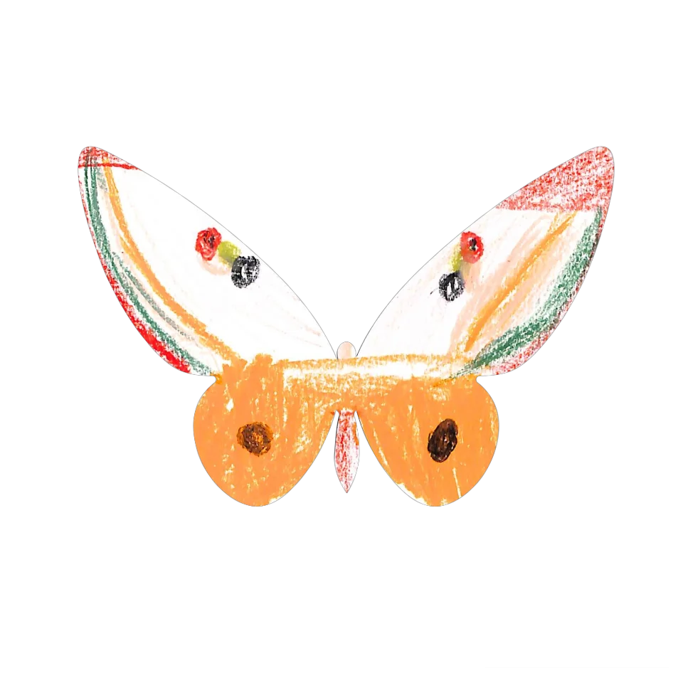 Original Butterfly Image
