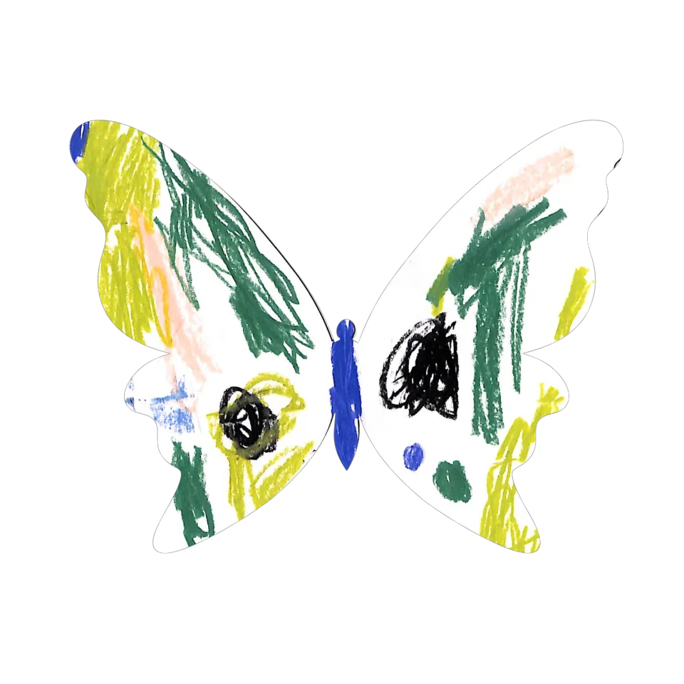 Original Butterfly Image