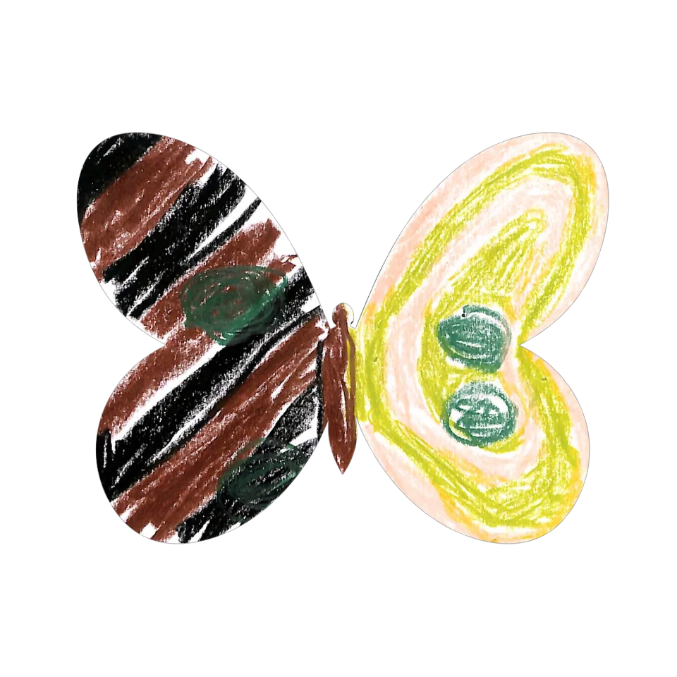 Original Butterfly Image