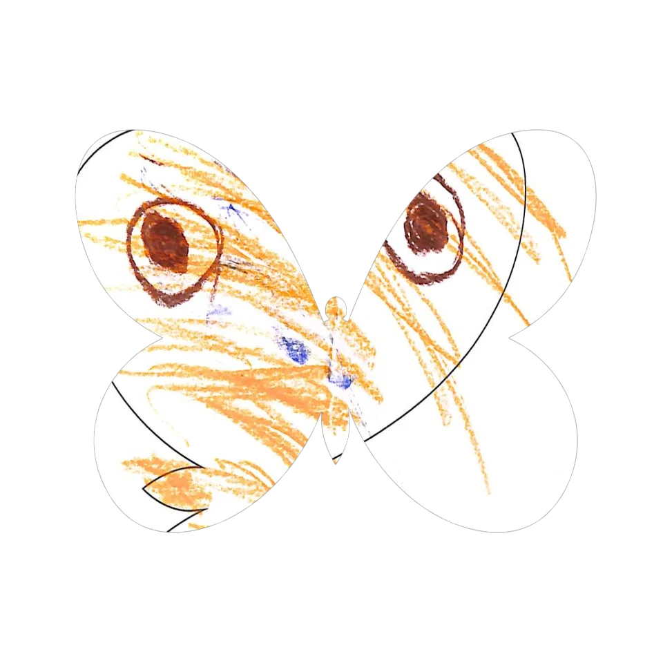 Original Butterfly Image
