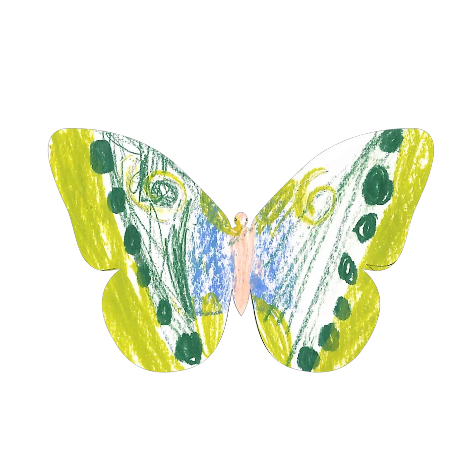 Original Butterfly Image