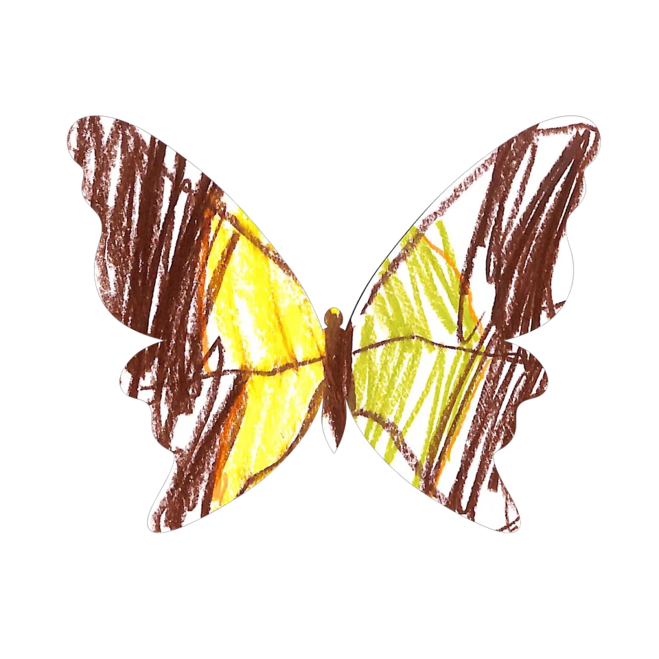 Original Butterfly Image