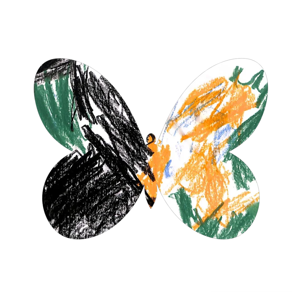 Original Butterfly Image