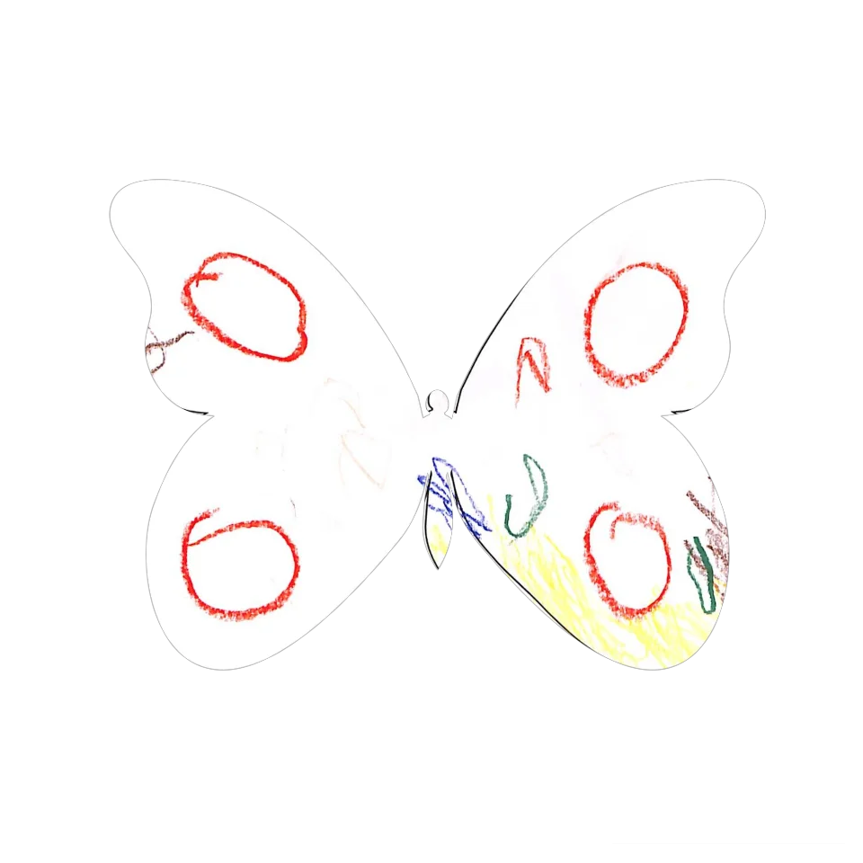 Original Butterfly Image