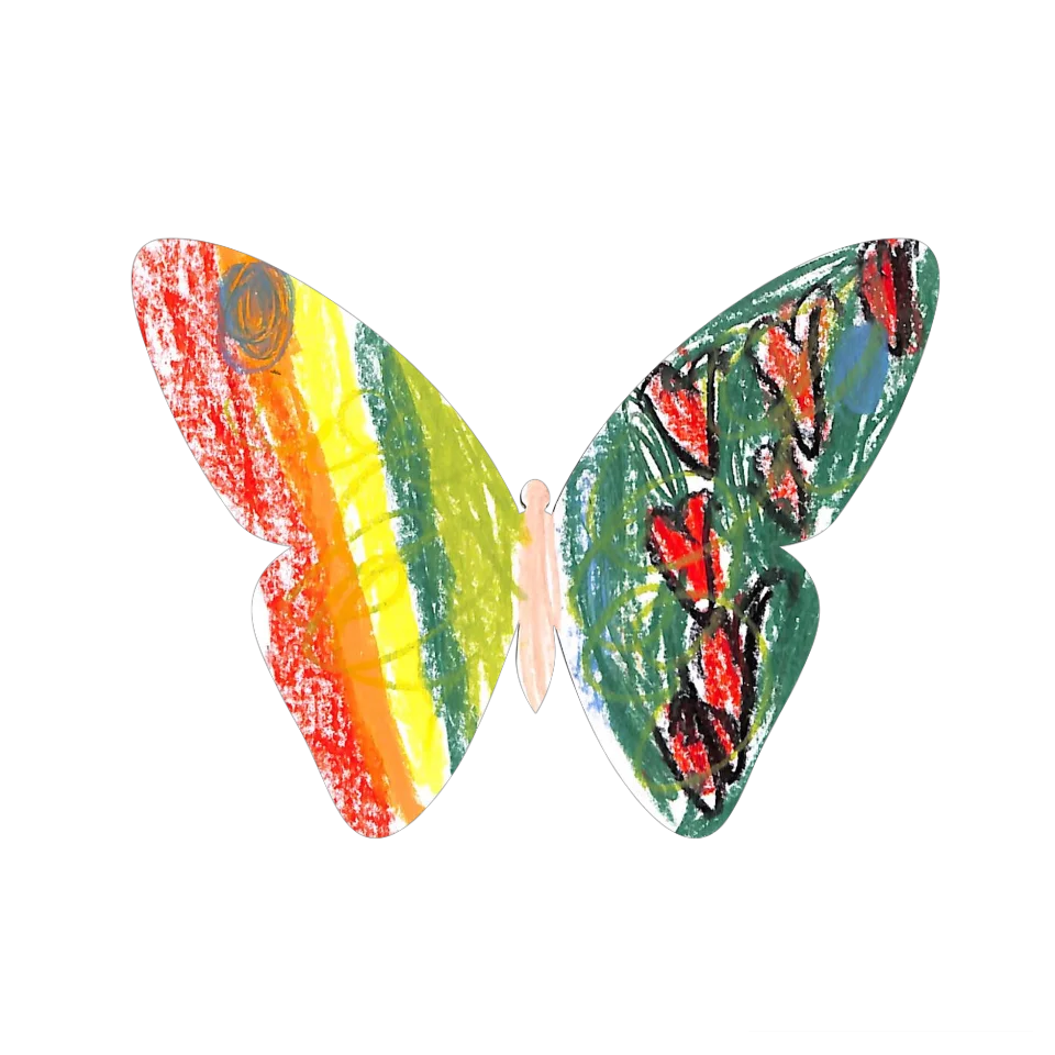 Original Butterfly Image