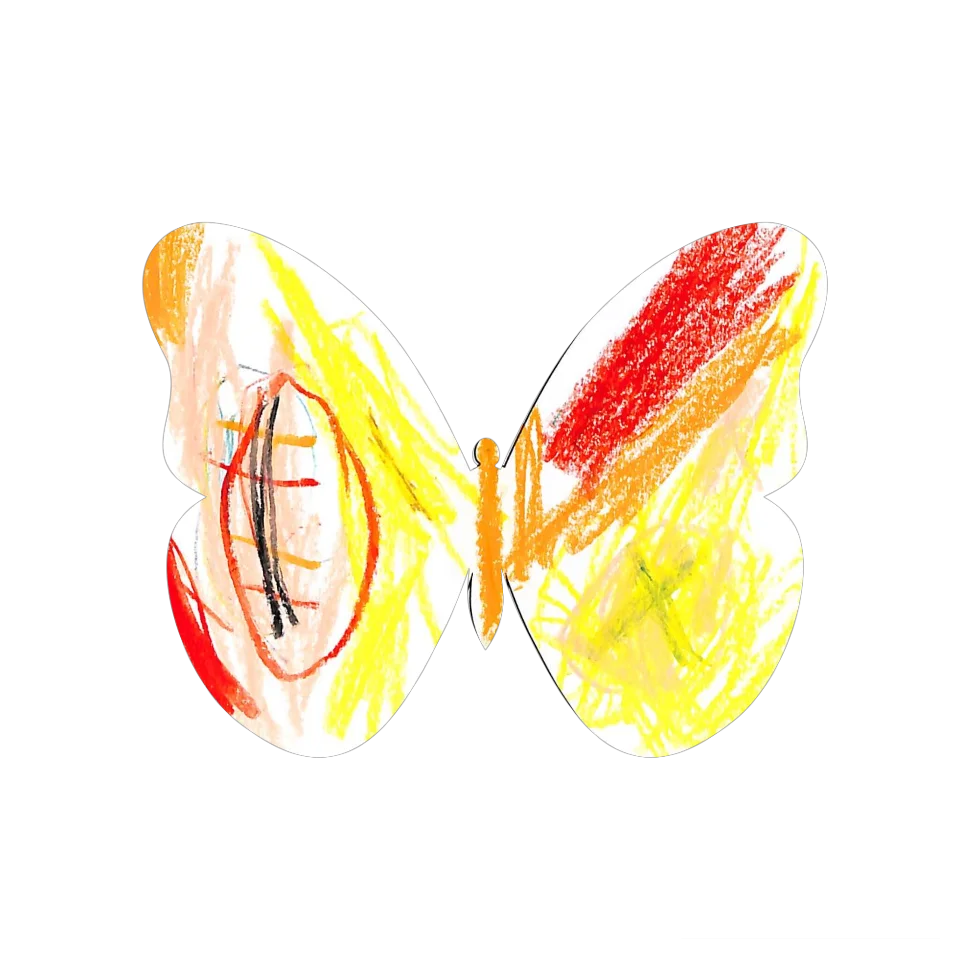 Original Butterfly Image