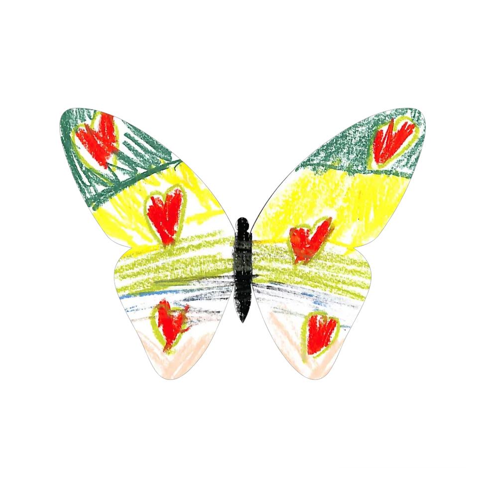 Original Butterfly Image
