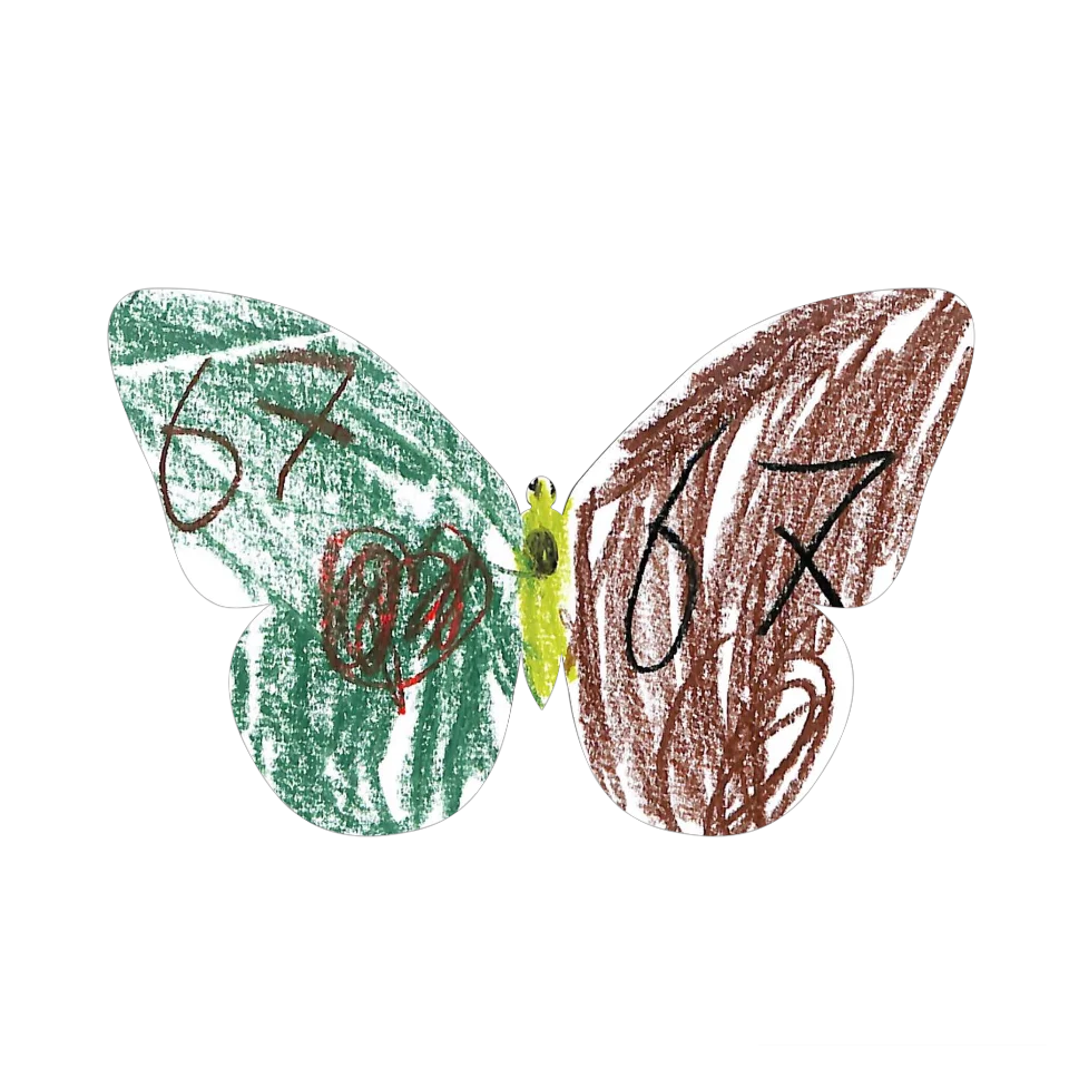 Original Butterfly Image
