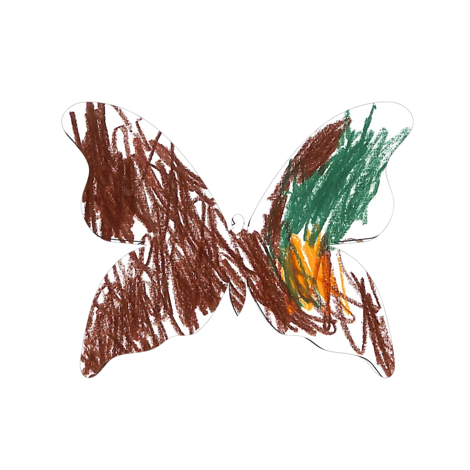 Original Butterfly Image