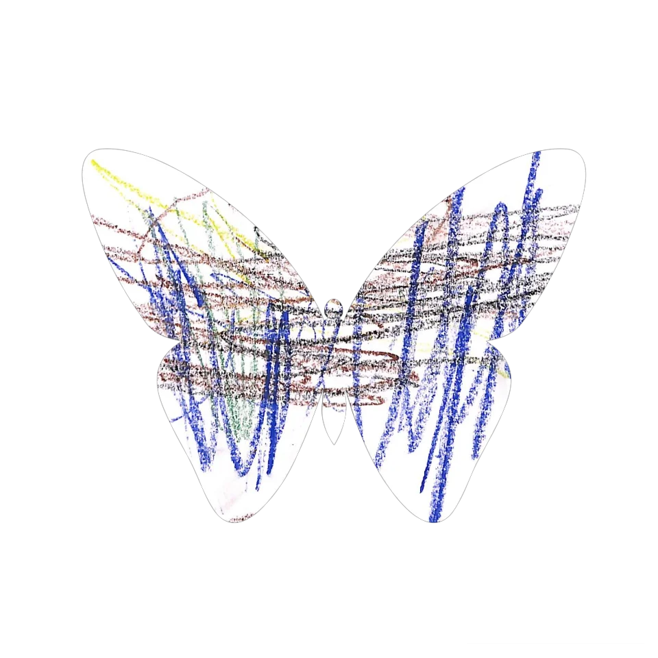 Original Butterfly Image