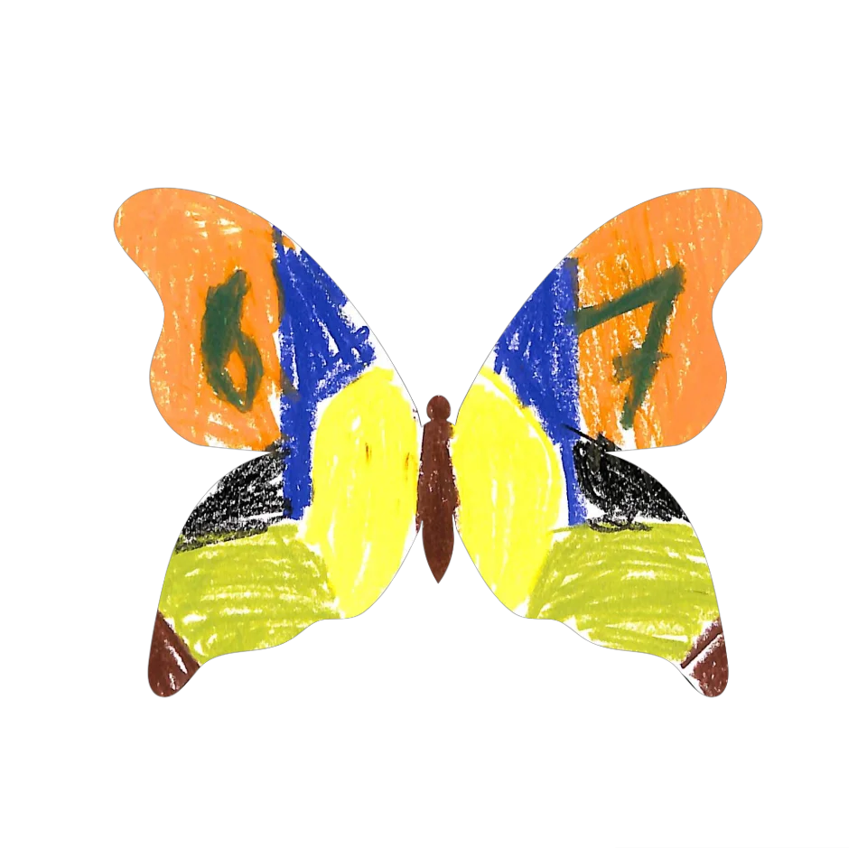 Original Butterfly Image
