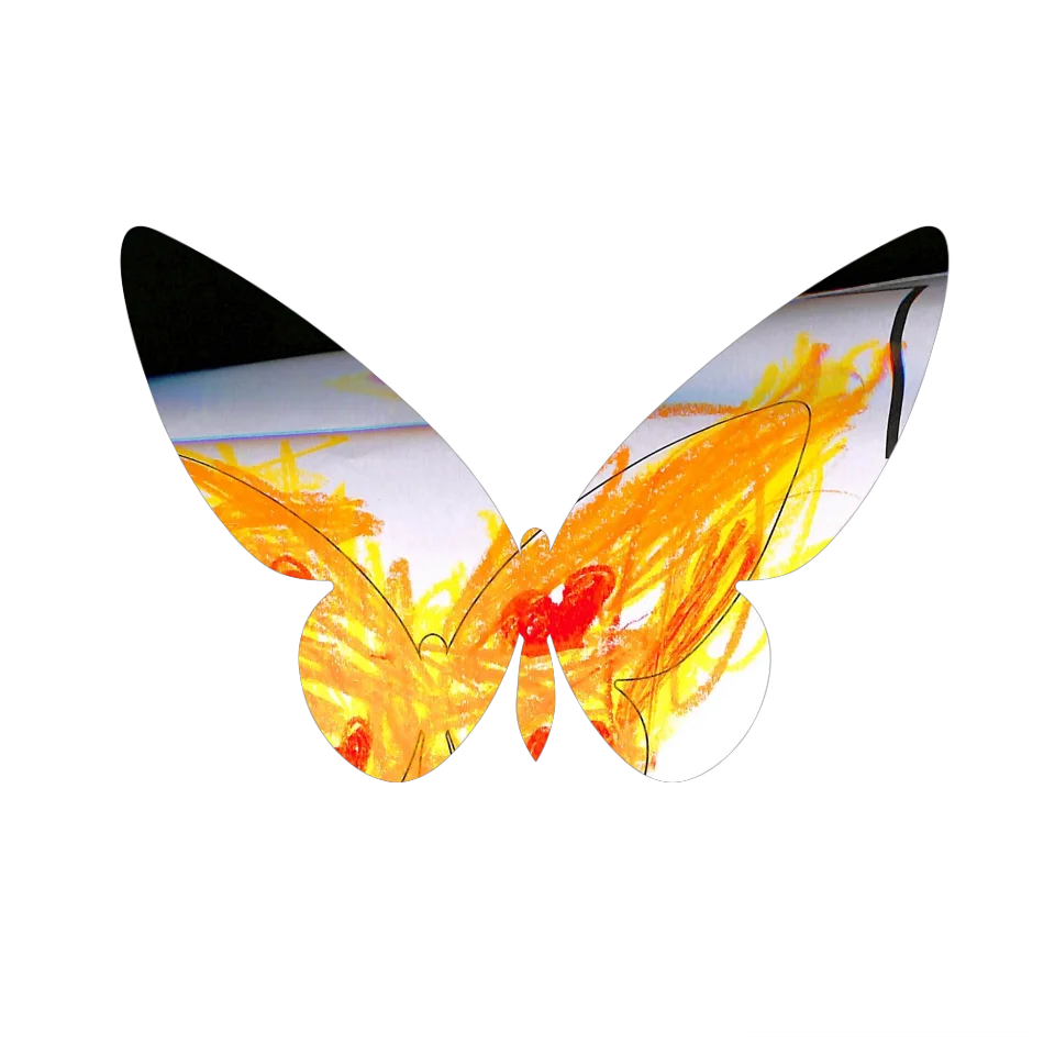 Original Butterfly Image