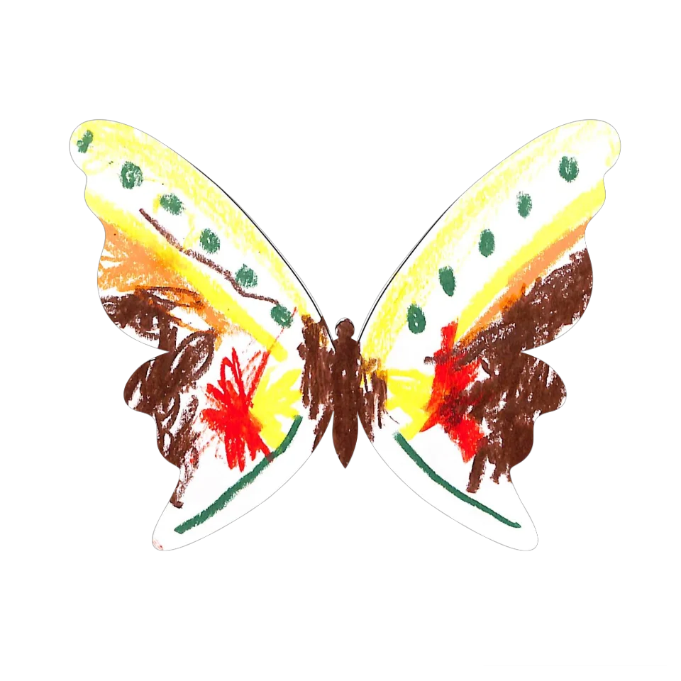 Original Butterfly Image