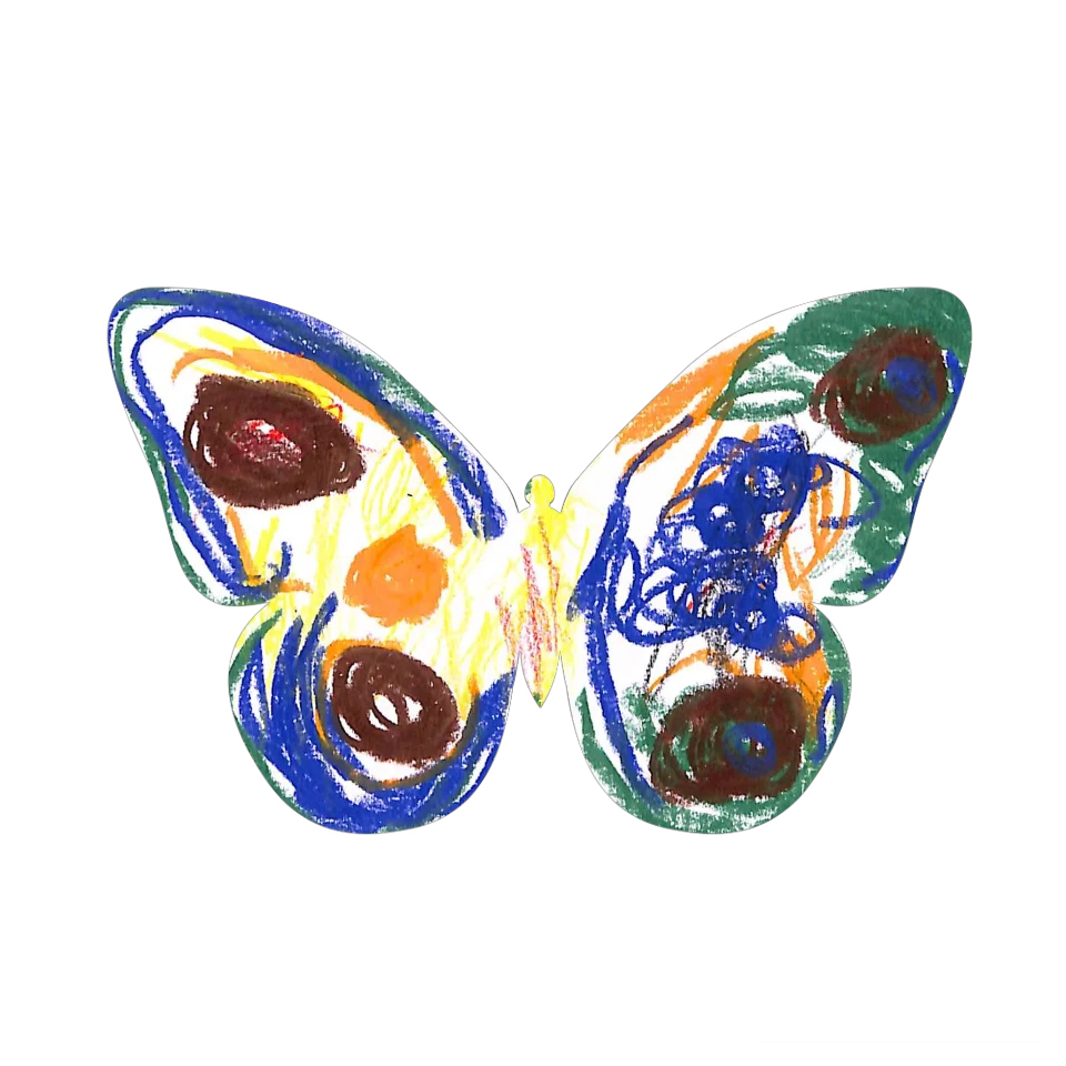 Original Butterfly Image