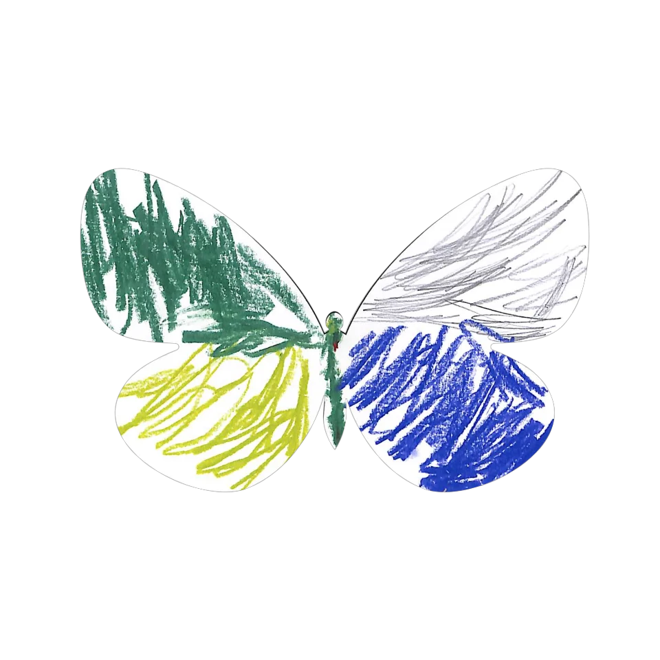 Original Butterfly Image