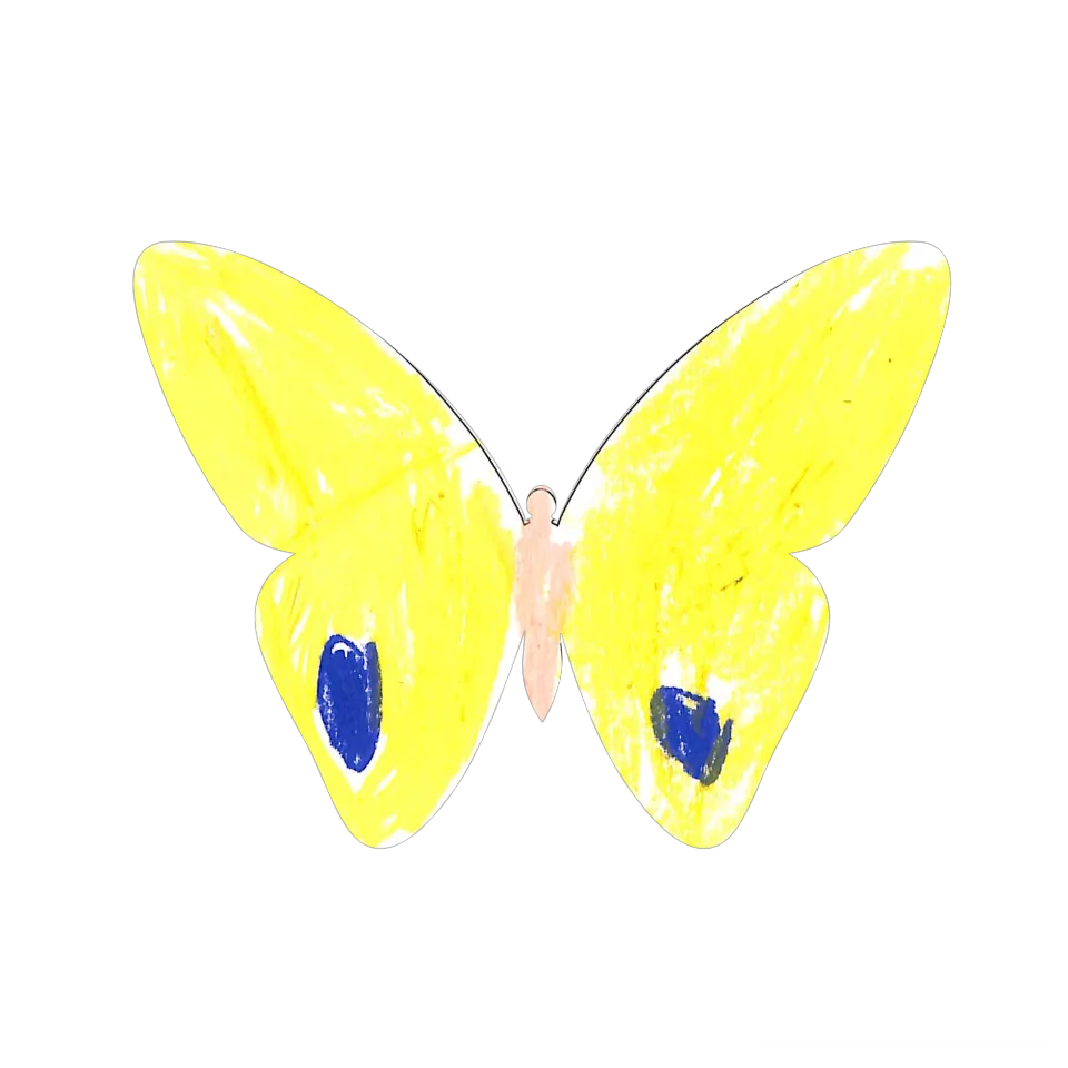 Original Butterfly Image
