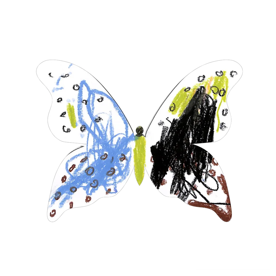 Original Butterfly Image