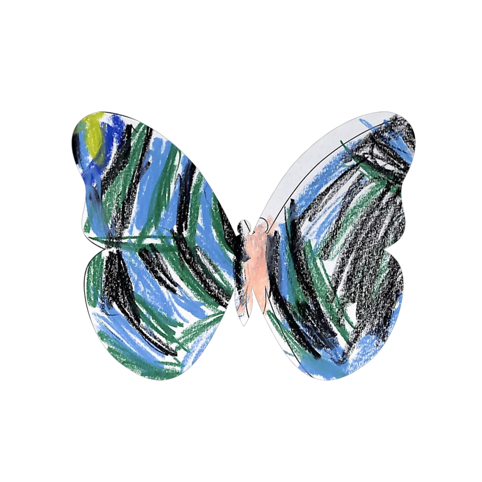 Original Butterfly Image