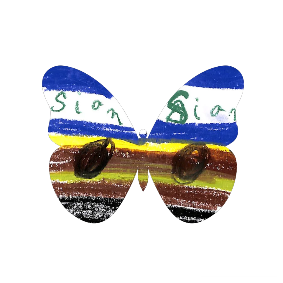 Original Butterfly Image