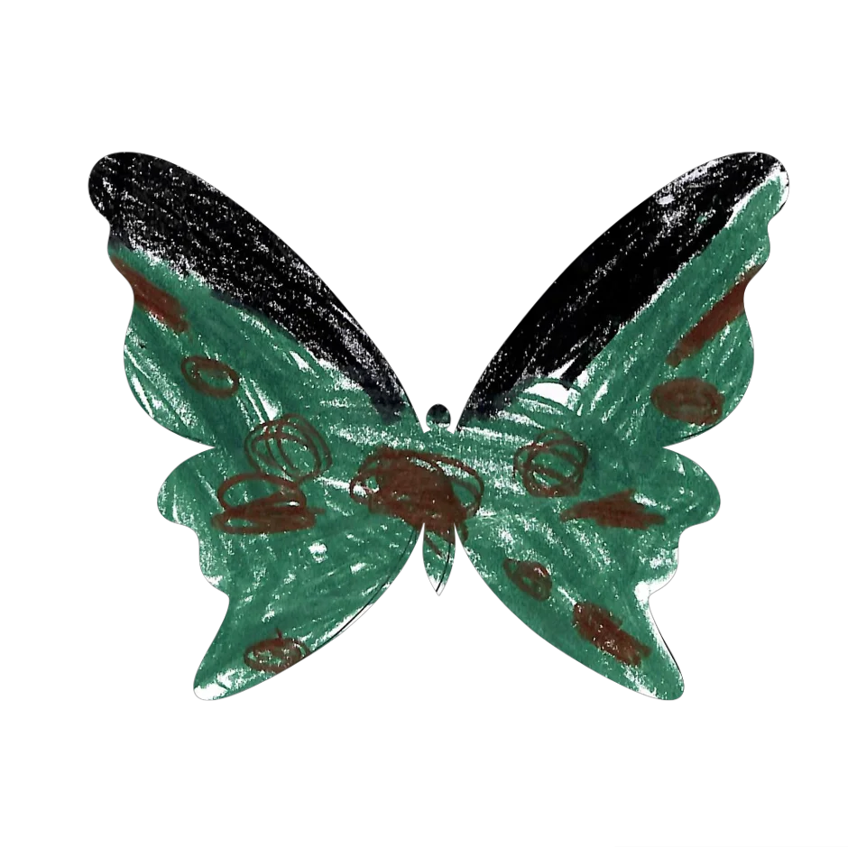 Original Butterfly Image